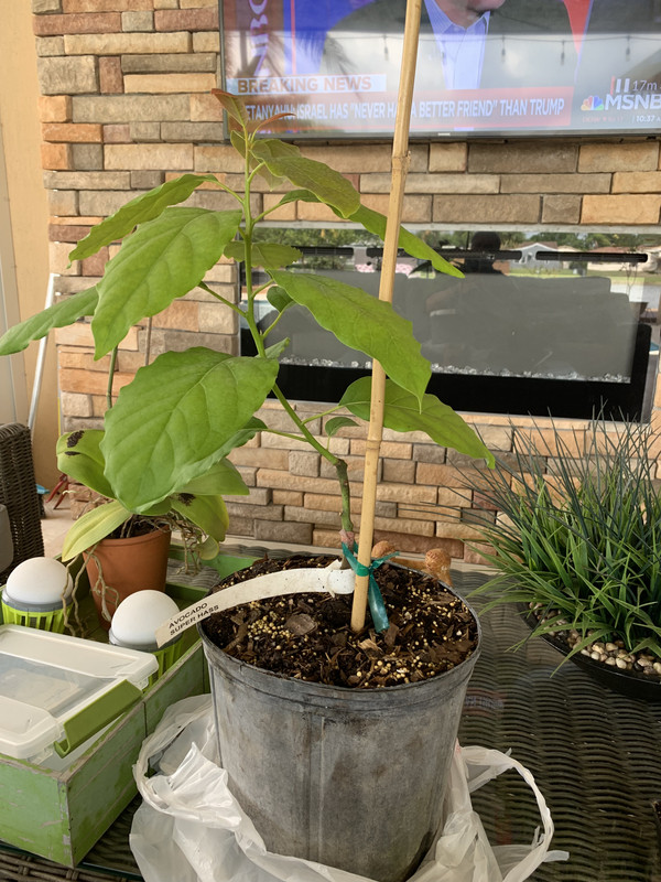 6E8690A7-CA18-4CF5-BC43-C56966E5C0EA