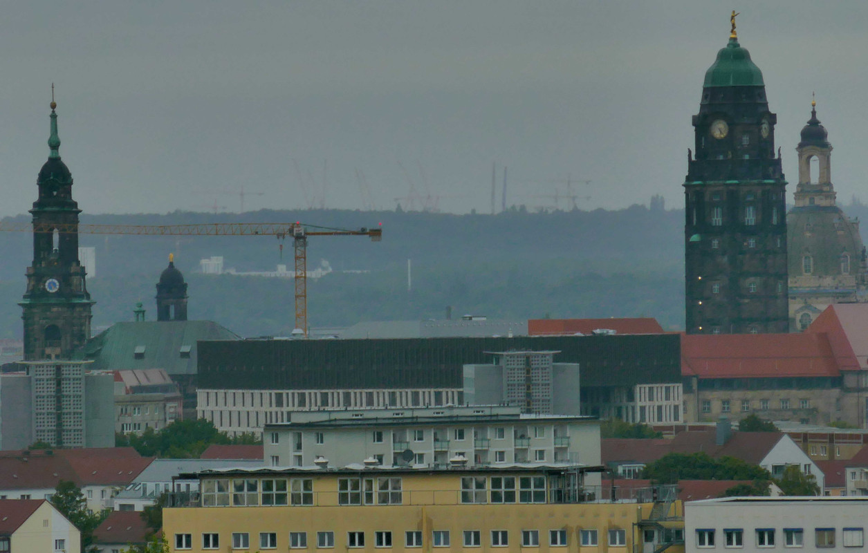 P1300954.jpg
