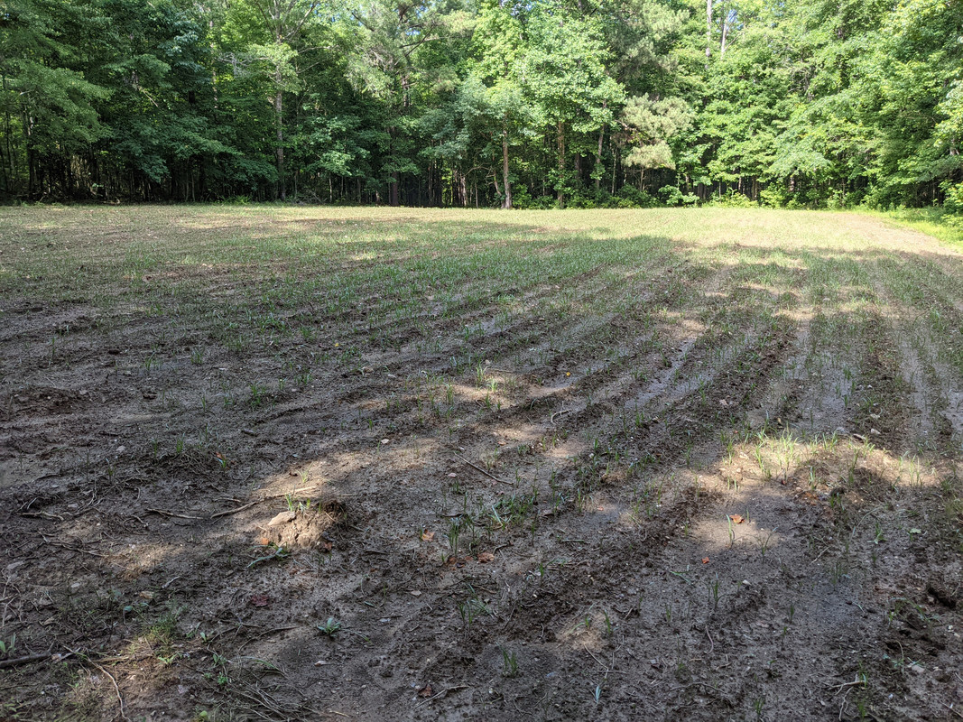 PXL_20210613_210229037