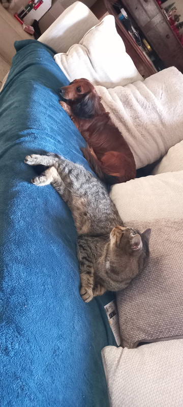 [Image: 20241203-153805.jpg]