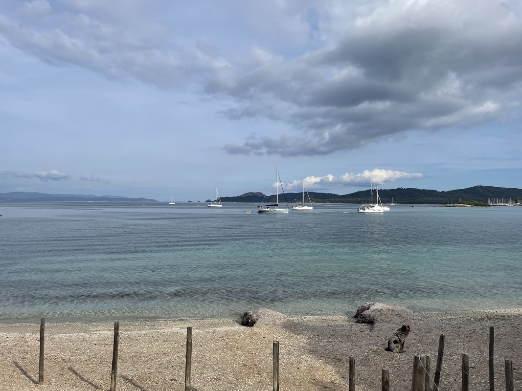 FCC67E84-308B-4EE5-B65D-B0F63E6207AF