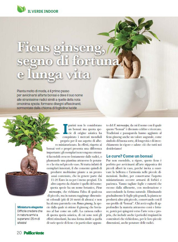 Pol Ver Mar 2024 (3)