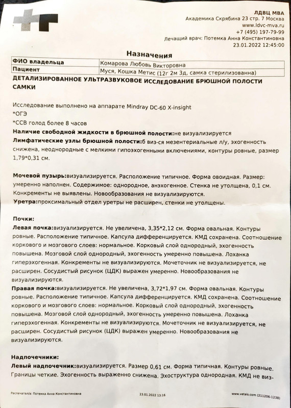 Муся обследование (6)