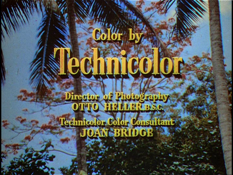 vlcsnap-2020-05-23-10h55m26s637