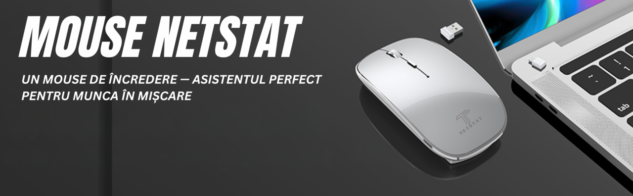 Mouse NETSTAT Prezentare 1