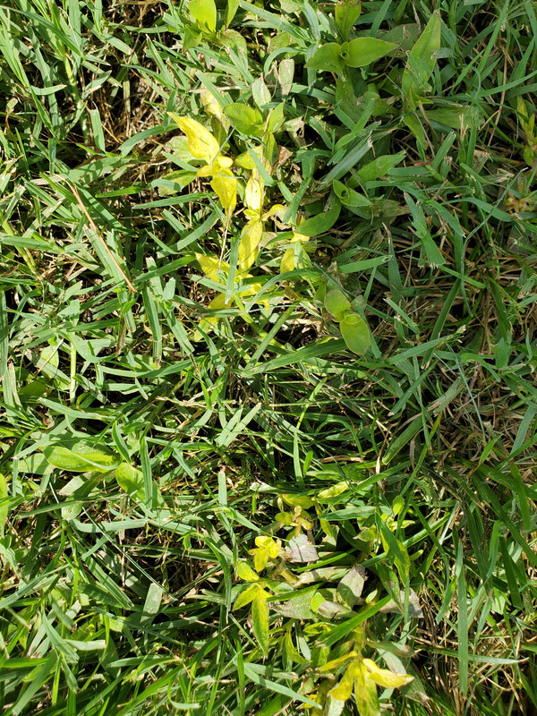 B978896D-0C89-4E04-ACDC-688AB35E3AF2