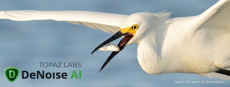 Topaz DeNoise AI 3.4.2 (x64)