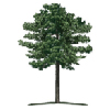  BLACKPINE Hover