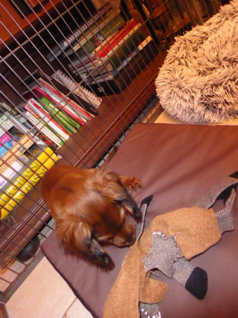 [Image: P1050411.jpg]