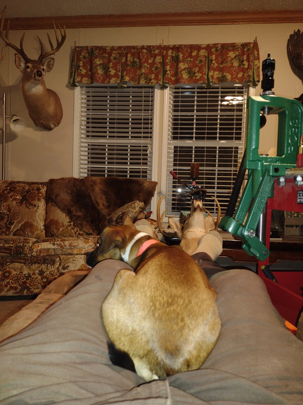 IMG_20221129_190316604