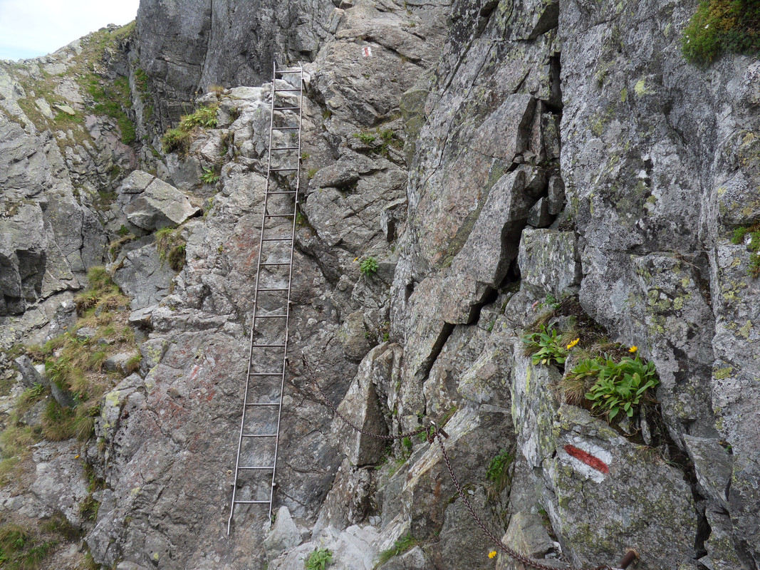 55 - SDC12273 (Czesio1)