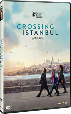 Crossing Istanbul (2024) DVD5 COMPRESSO