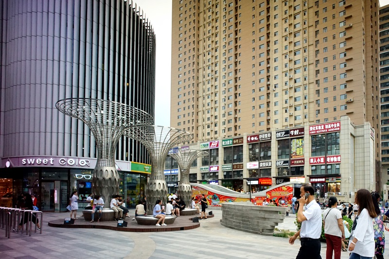 DSC07556