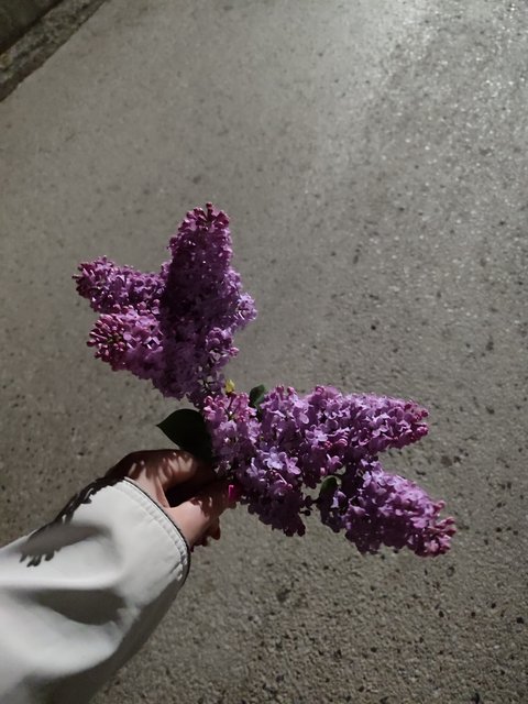 IMG-20240411-231839