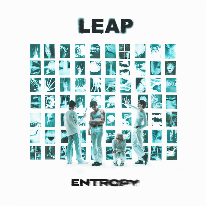 LEAP — Energies