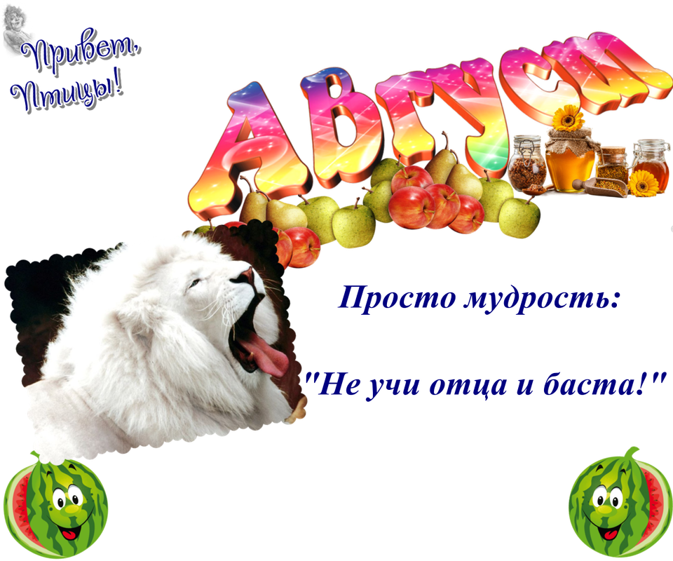 https://i.postimg.cc/RFbZysfL/20-08.png