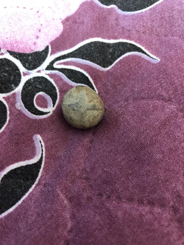 7848B231-FAB4-4753-8D66-1F1F6AA71DE0