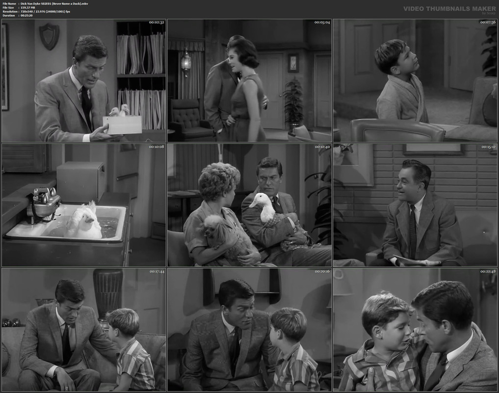Dick Van Dyke S02E01 (Never Name a Duck).mkv