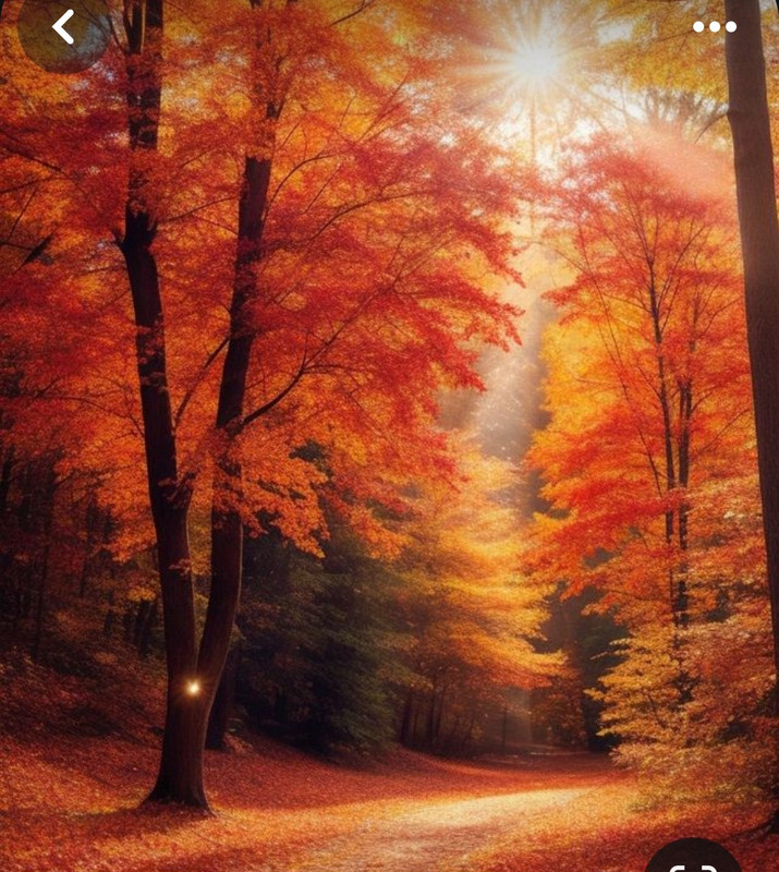 Screenshot_20240131_205742_Pinterest