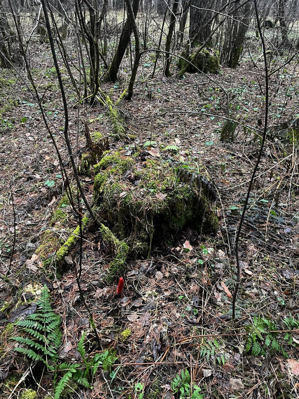 photo 2 2025 11 26 18 12 58