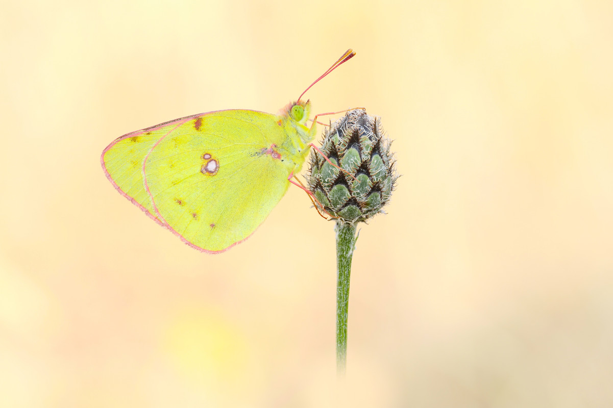 2025-07-13 09-22-08 (A,R3,S1)