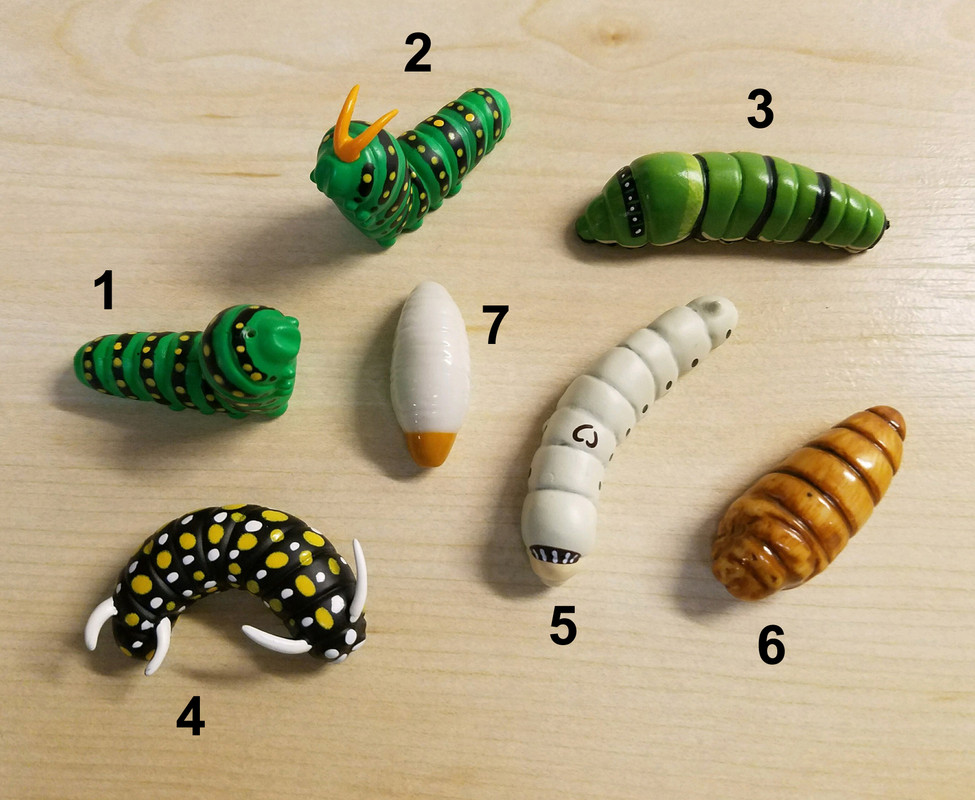 Kaiyodo Capsule Q SPANGLE SWALLOWTAIL CATERPILLAR butterfly larvae insect figure 