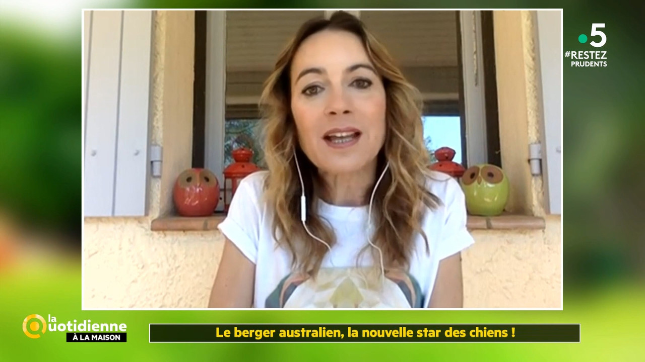 2020-05-27_11_55_Fr5_La-quotidienne.mp4_snapshot_00.35.19.580