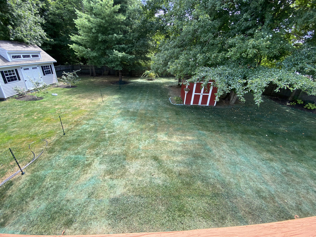 51298659-0891-47E4-BBCE-FE98482F8E6D