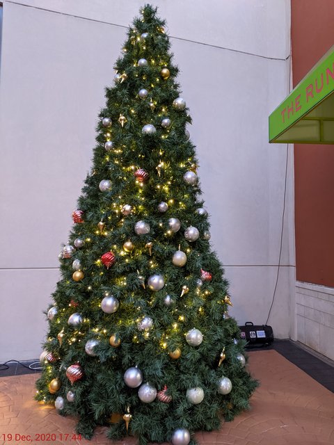 [Image: PXL-20201219-224415552.jpg]