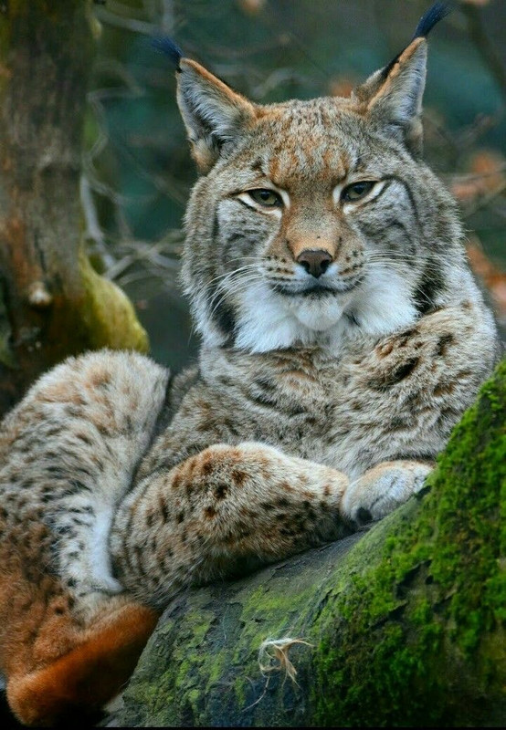 B7260E7D 5997 4107 B05E 0C0BC951E58B