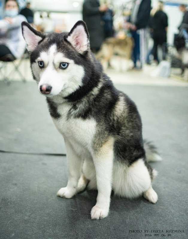 IMGP6916 - копия