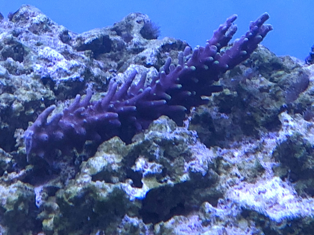 46F1F7AF-4C98-4F6C-8658-8D64AF2762D5