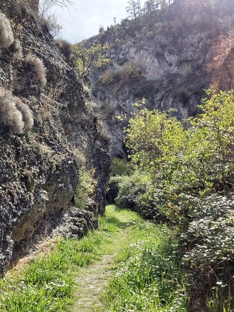 DIA 3. CALOMARDE: SALTO MOLINO VIEJO Y CAÑON DE LOS ARCOS. NACIMIENTO DEL TAJO - Rincones perdidos: Sierra de Albarracín y Montes Universales. (3)