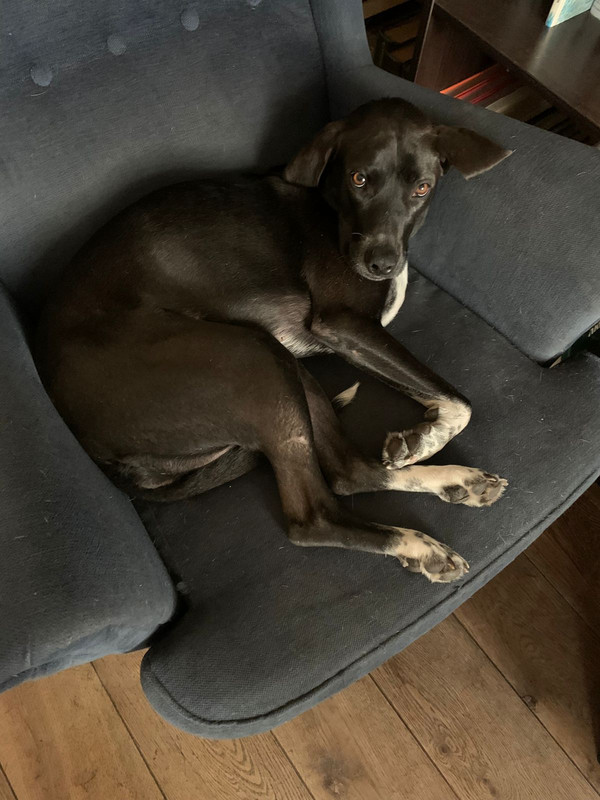 72B90196-105D-408C-A89F-F1A323A06056