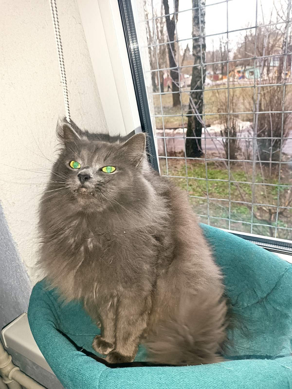 IMG-8e580b18de4979cde4b1446217aae3a3-V