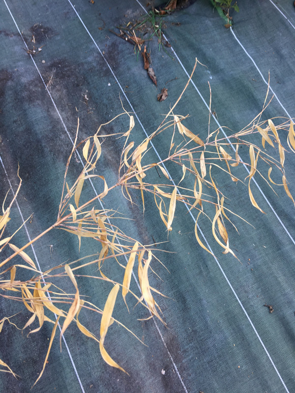 97D6E43F-158B-4A6D-B947-D22DE297BCD2