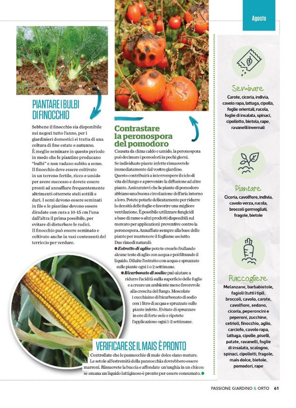 Pass Giar e Orto Ago-Set 2023 (8)