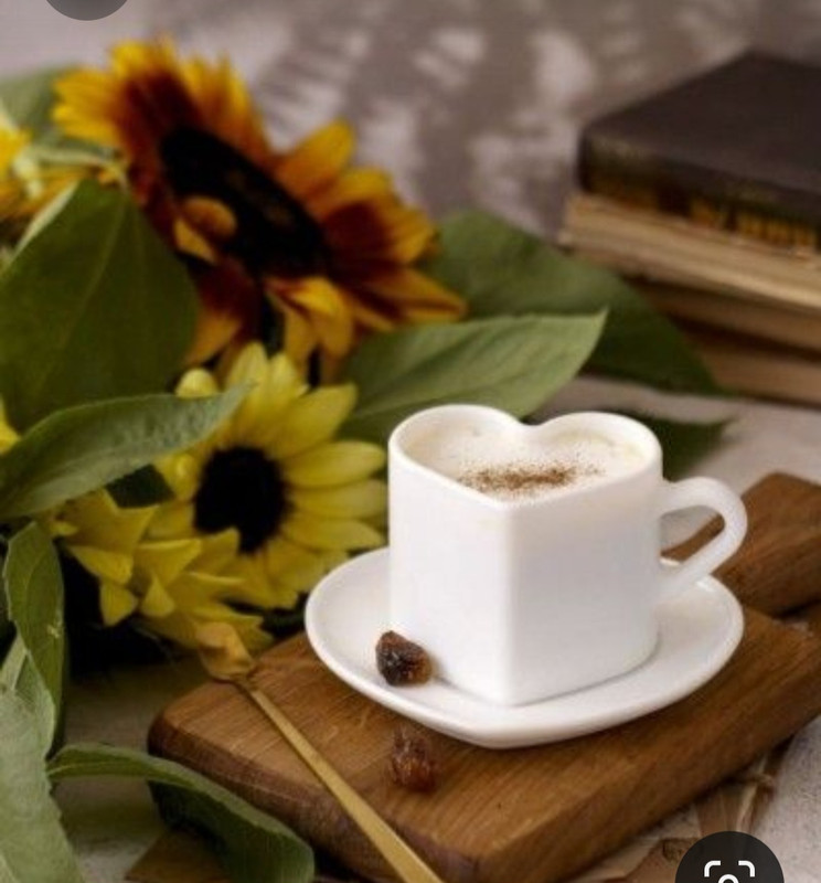 Screenshot_20230731_234829_Pinterest