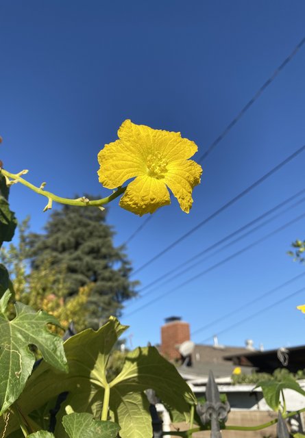 [Image: 35520089-7-DAC-4479-9-F78-69248-F4807-CD.jpg]