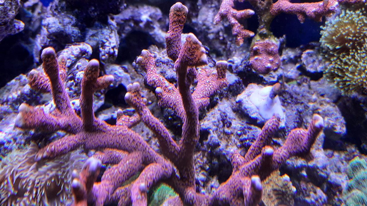 WhatsApp Image 2021-06-10 at 11.35.04 (1)