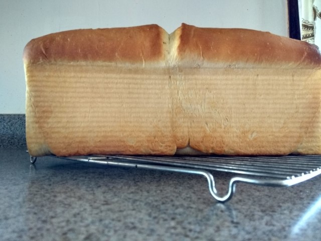 IMG_20240307_152049580_HDR (Small)