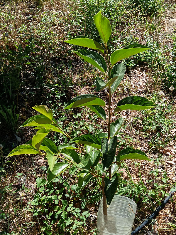 IMG 20260716 110837