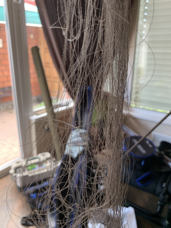 C9B179D2-5968-439A-9565-F6C5924B1448