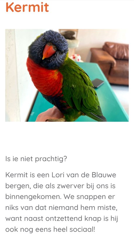 Afbeelding