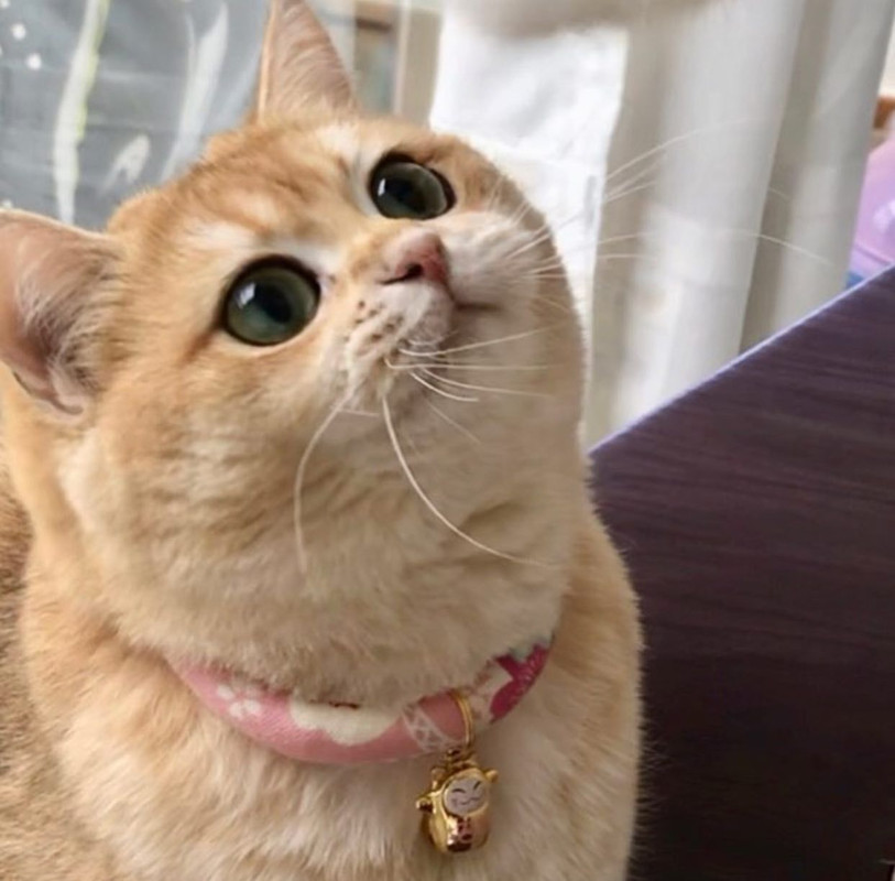 7FC229D5-040F-4B96-94DB-3DA1425CAA8F