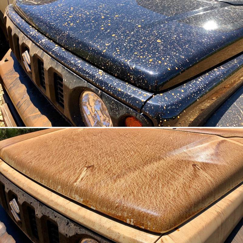 D0E4C2A4-B055-4426-8E44-ABD657C1B72D