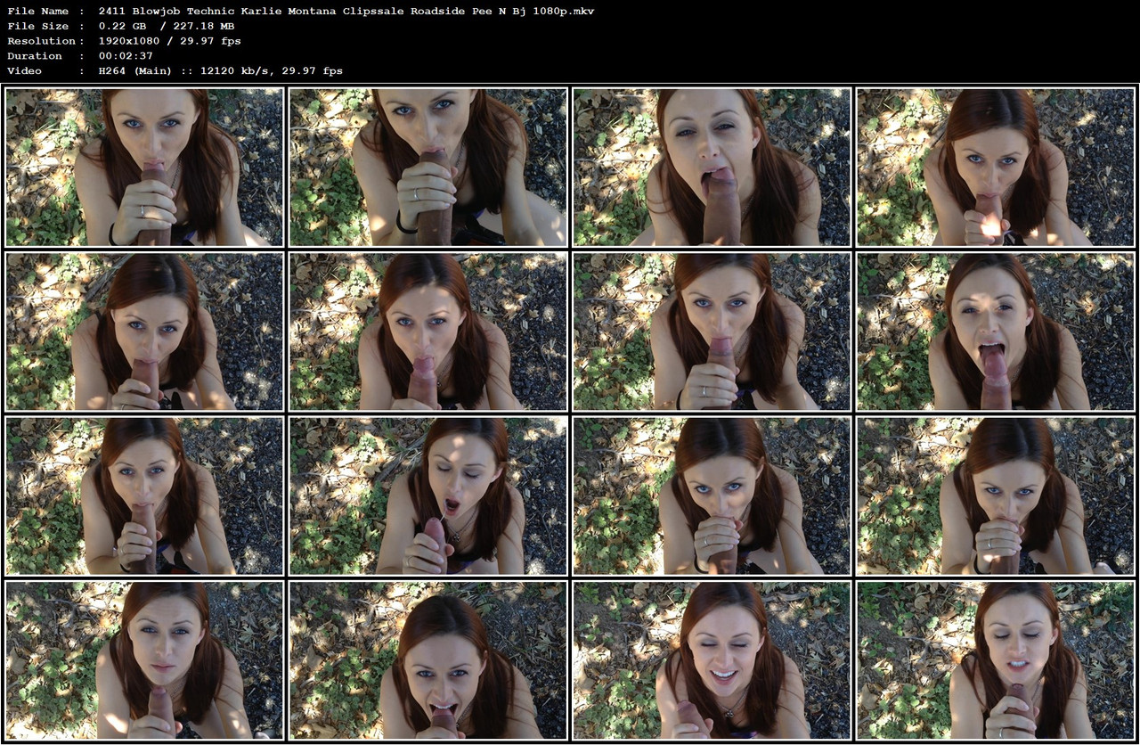 2411 Blowjob Technic Karlie Montana Clipssale Roadside Pee N Bj 1080p mkv