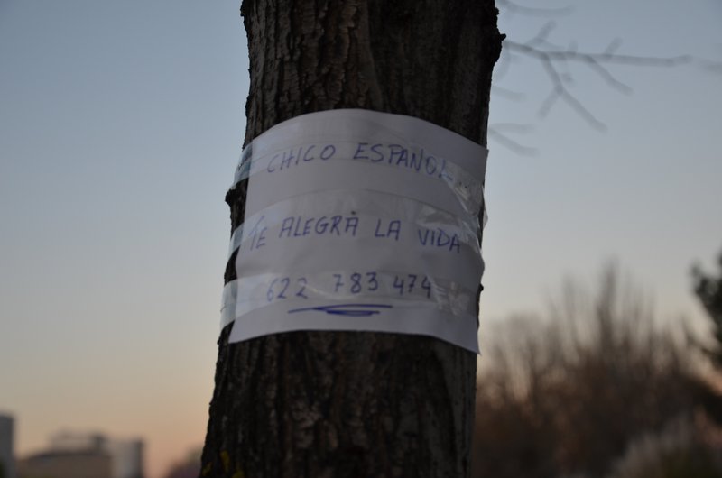PARQUE ENRIQUE TIERNO GALVAN-2013 AL 2017-MADRID - Paseando por España-1991/2017 (55)