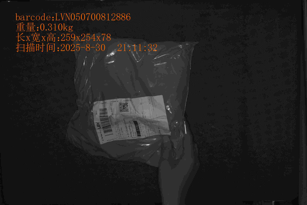 LVN050700812886_259_254_78_0.310_2025_8_30_21_11_32