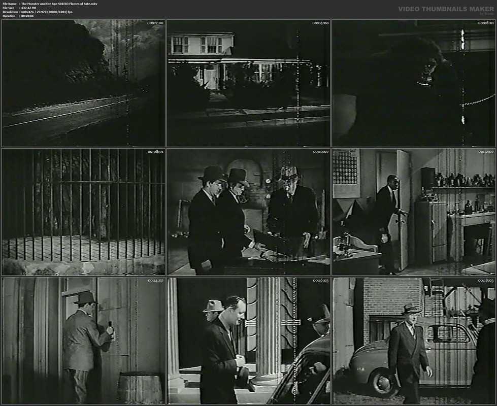 The Monster and the Ape S01E03 Flames of Fate.mkv